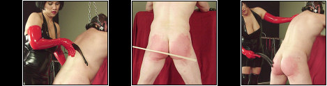 Caned Until Red Raw - Mistress ember breaks out the cane and whips his ass until its red raw.