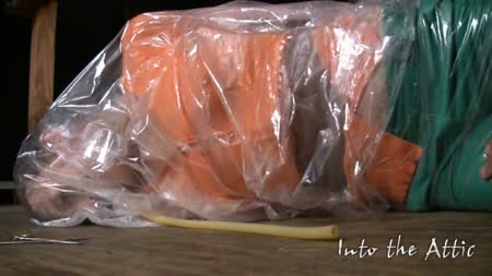 Into The Attic - Elise Is Bagged Smoke Blown In Into The Attic - Elise Is Bagged Smoke Blown In