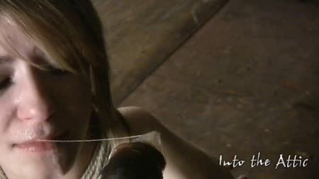 Into The Attic - Ginger Meets Luther Into The Attic - Ginger Meets Luther