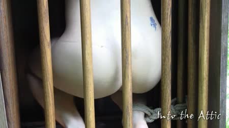 Into The Attic - Meis Electro Shock Therapy Inside A Cage Into The Attic - Meis Electro Shock Therapy Inside A Cage