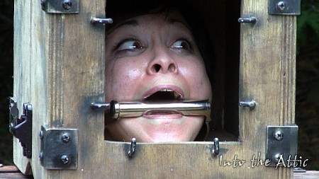 Meis Electro Shock Therapy Inside A Cage - He has placed her in a cage outdoors. Nude and on her knees, her head pokes through the opening at the top. Right now there are only bars that prevent her escape, so her body is visible inside. The floor of the cage is lined with copper, soon to electrified. Her face hole has a metal bit gag installed. She's simply out in the middle of the yard and elements. When we find her she's spending a great deal of effort trying to get her bit gag into a more comfortable position without the use of her hands. Jr comes out and picks up the power supply to the copper sheathing lining the floor of the cage, her face etched in worry. After turning it on it takes a moment and then suddenly she screams out and bucks inside the cage. She's dancing on her tip toes now, afraid to keep her feet still in any one spot. The power is set to fall to a low and then rise to the most powerful shock. This leaves her with a constant fear of waiting, waiting on the next powerful surge. She screams out with each one. Some sounding like a maniacal crazy man, screams mixed with laughter, fear and pain. Screams that set the dogs off on neighboring properties with barking and howling. Watching her feet is like watching someone try to hold their hand down on a hot plate. Jr leaves and comes back with a short piece of rope. He ties one ankle to the bars of the cage to prevent her from moving it so much. To insure that she always gets the maximum shock. He leaves her for a bit, but the screams become so obtrusive he returns to seal up the cage. After sliding the four cage walls in to place, only her head is visible through the top. He then puts her head into a separate cage that fits on top of the larger cage her body is in. She is completely enclosed now. This is how jr leaves her; muffled screams permeating the air while a group of dogs howl in the distance.