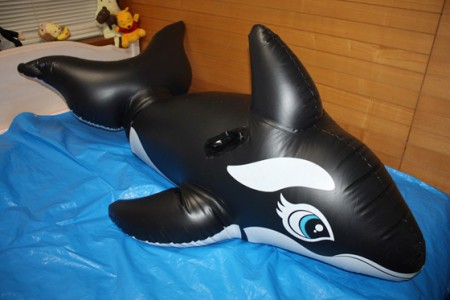 Into An Inflatable Orca